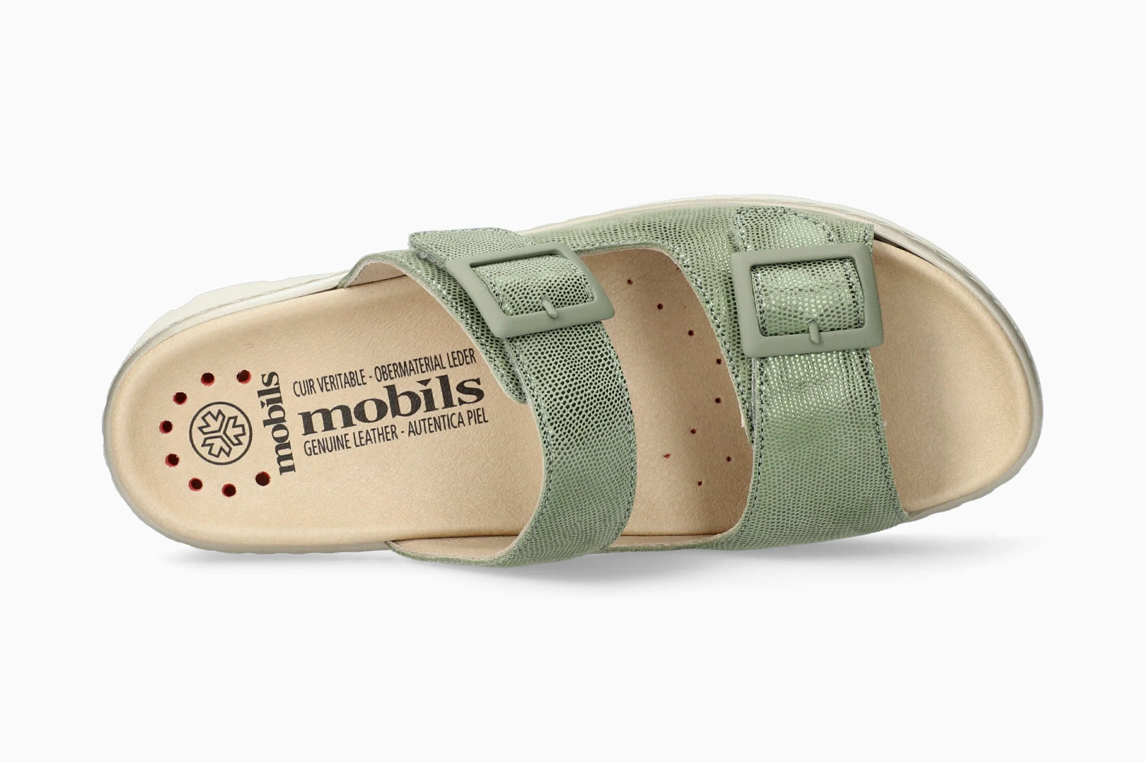 Alba - Green Almond | M7BL - Image 3