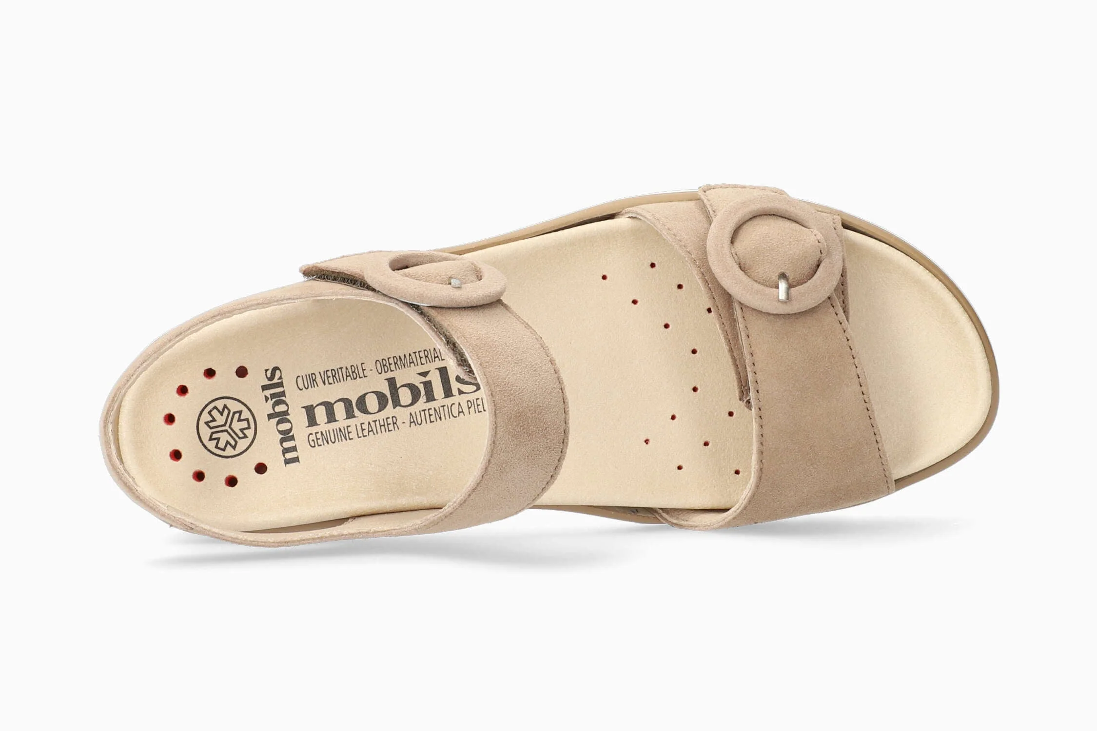 Clara - Light Taupe | M4WH - Image 3