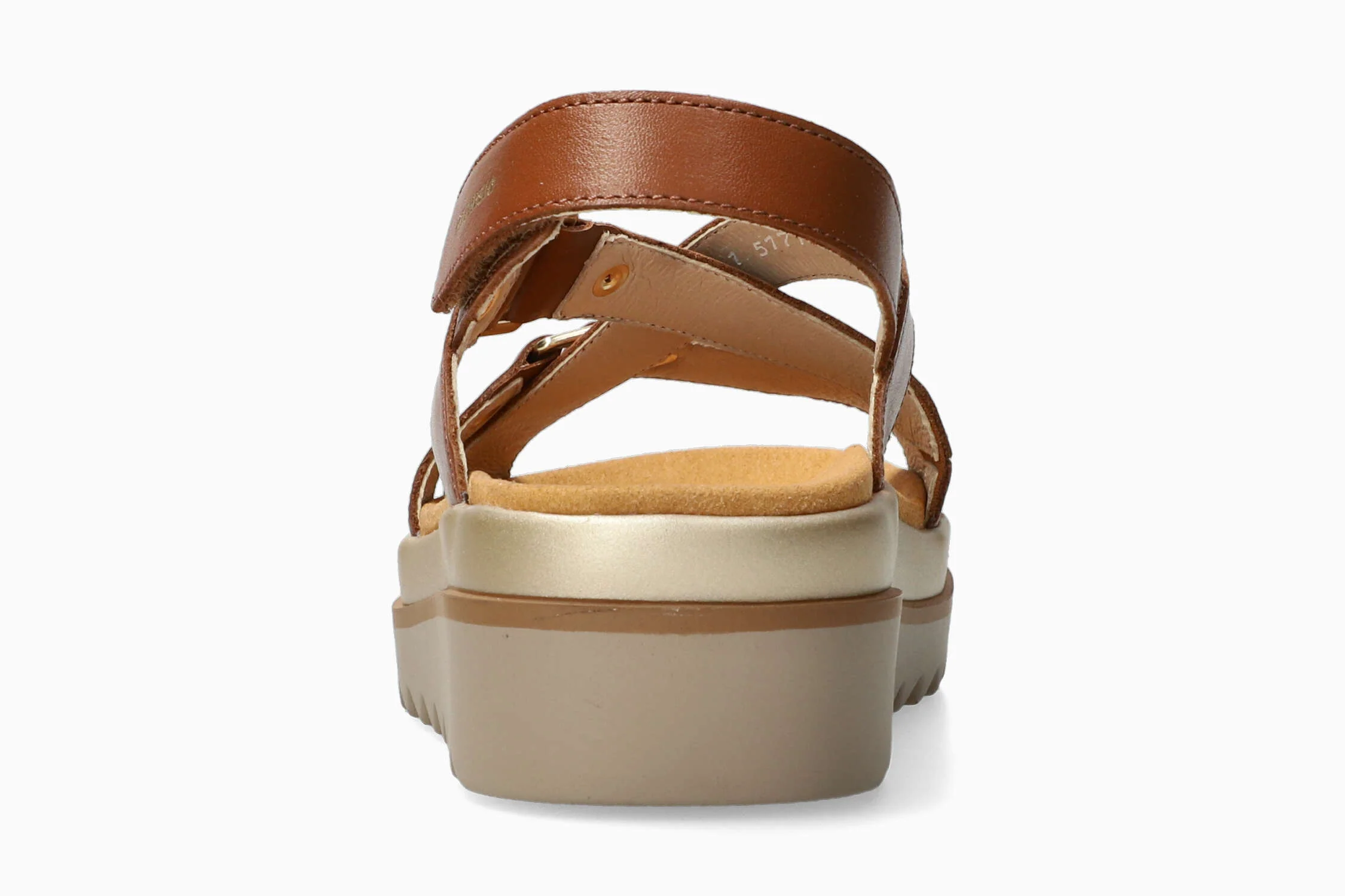 Dalma - Chili | M8IW - Image 6