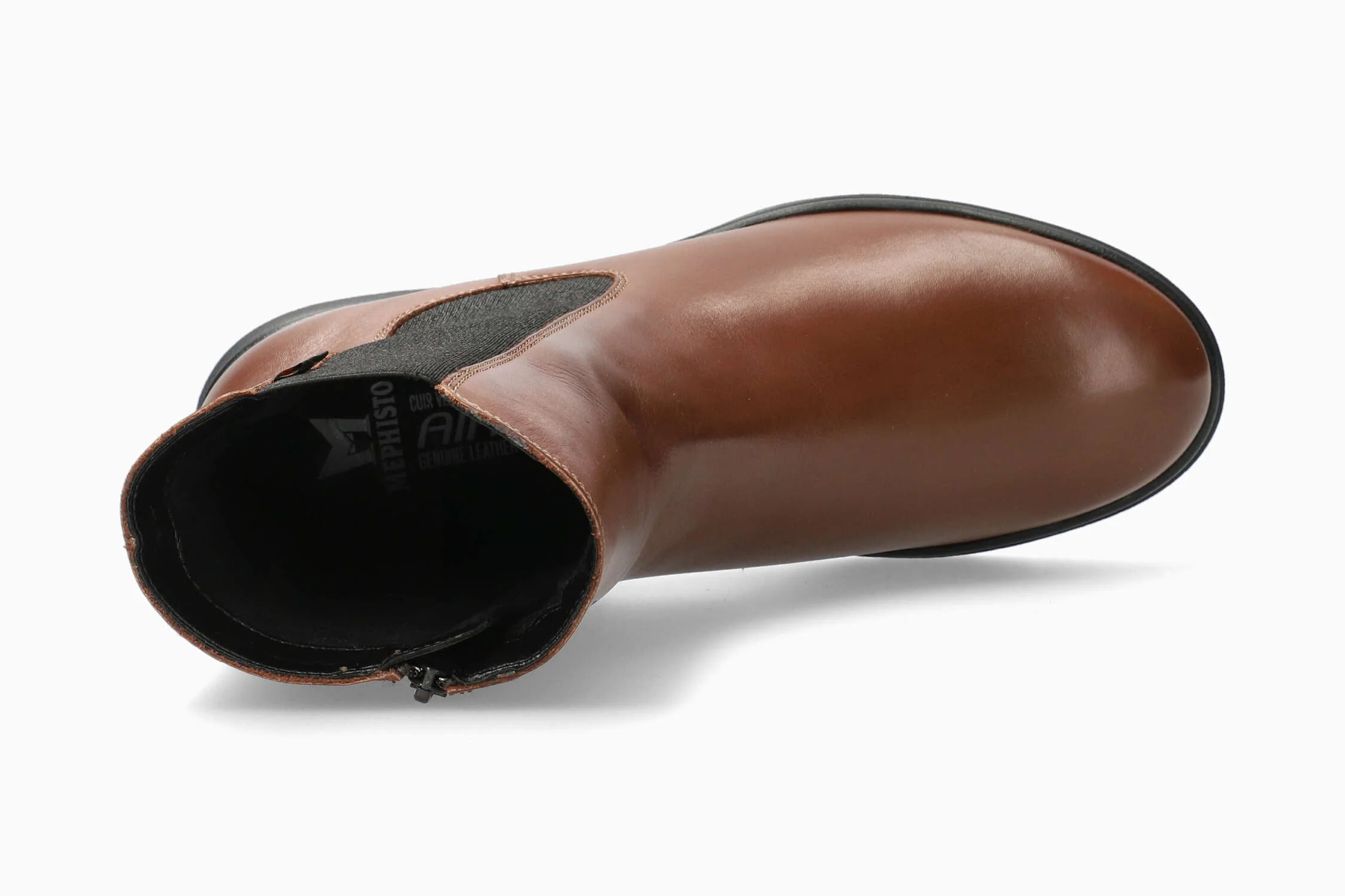 Delphina - Chestnut | M3VJ - Image 3