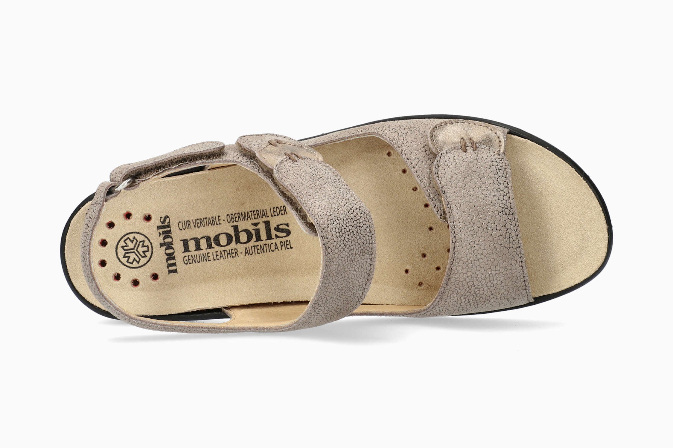 Getha - Dark Taupe | M2WX - Image 3