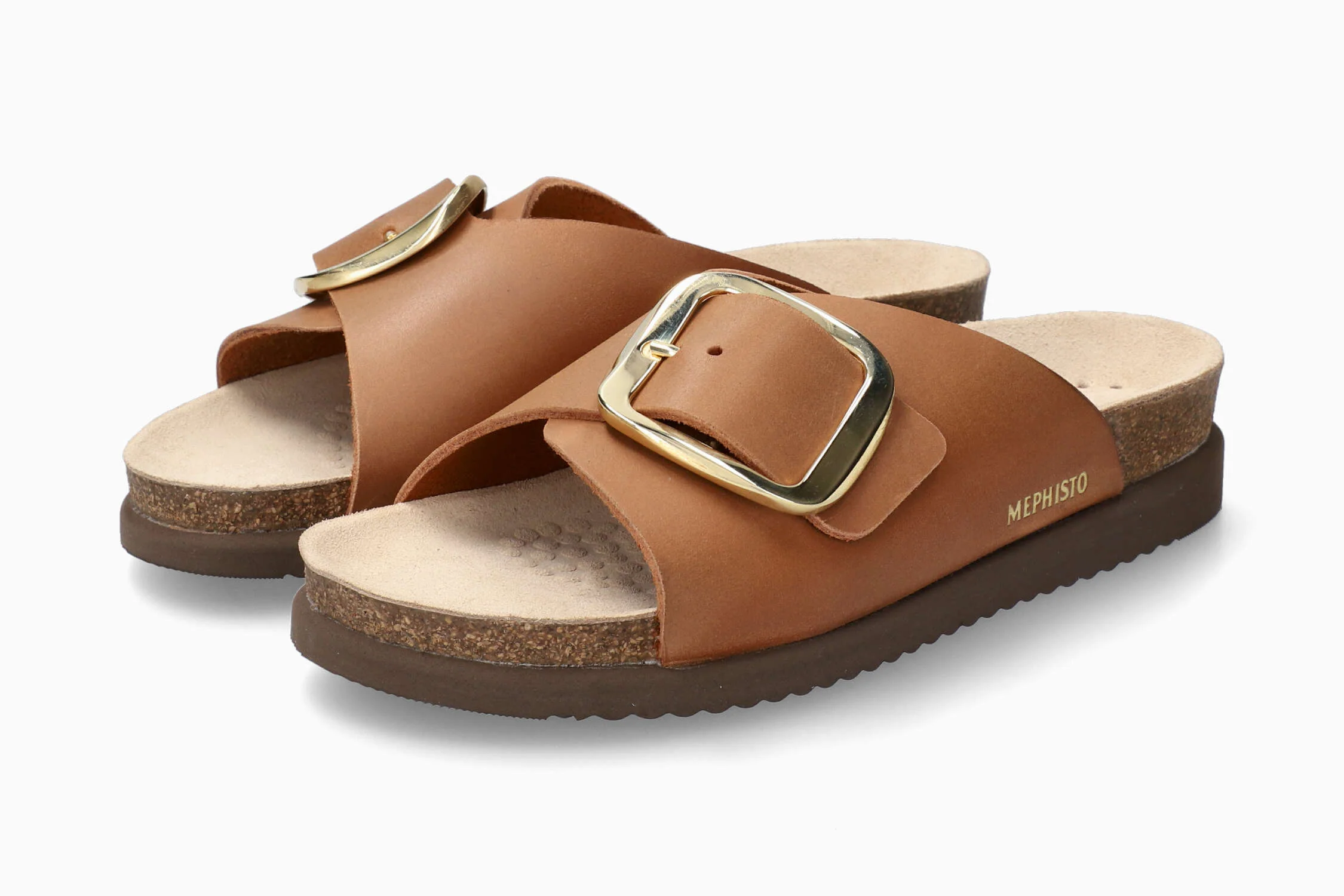 Hariana - Camel | MLR6 - Image 2