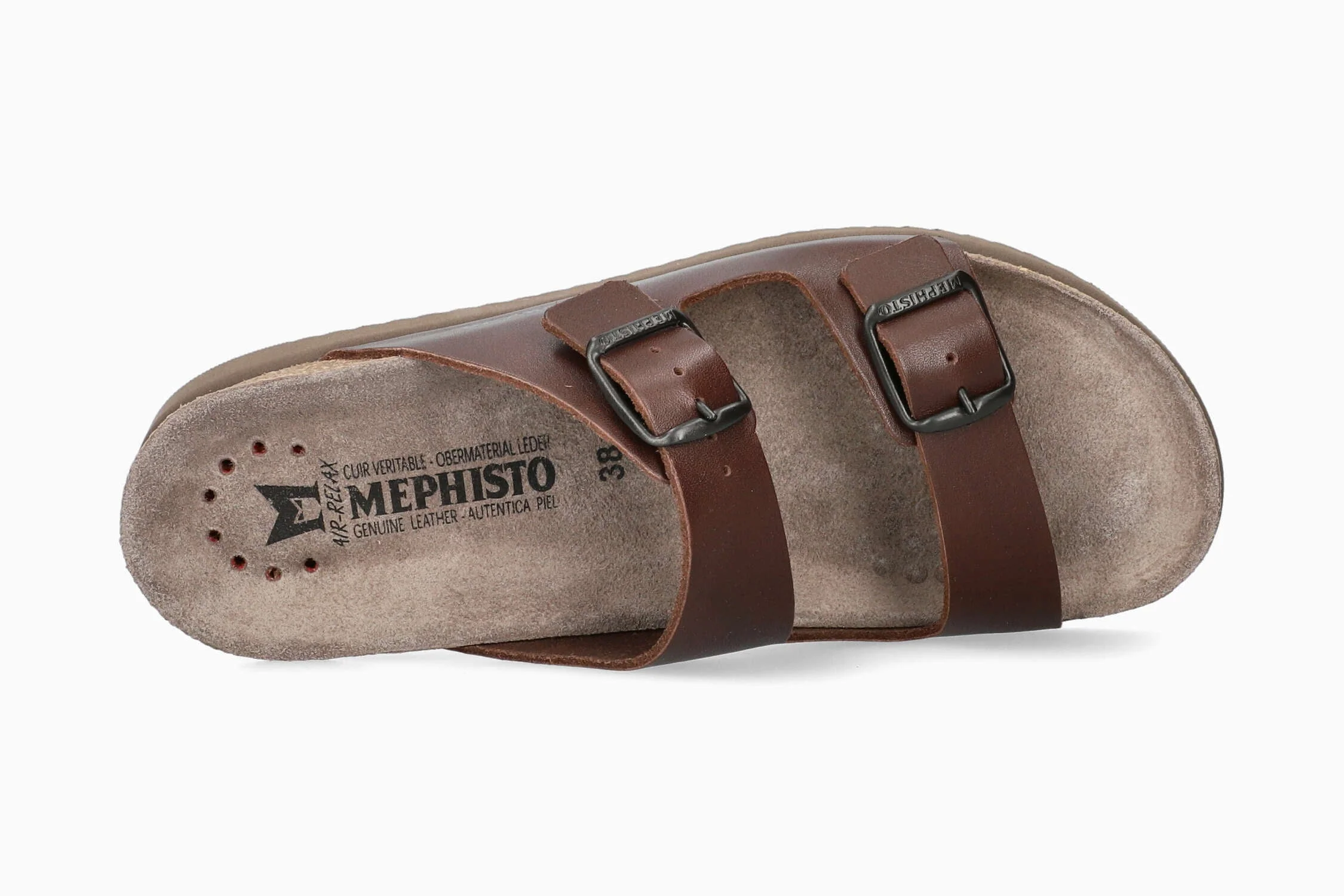 Harmony - Chestnut | MH06 - Image 3