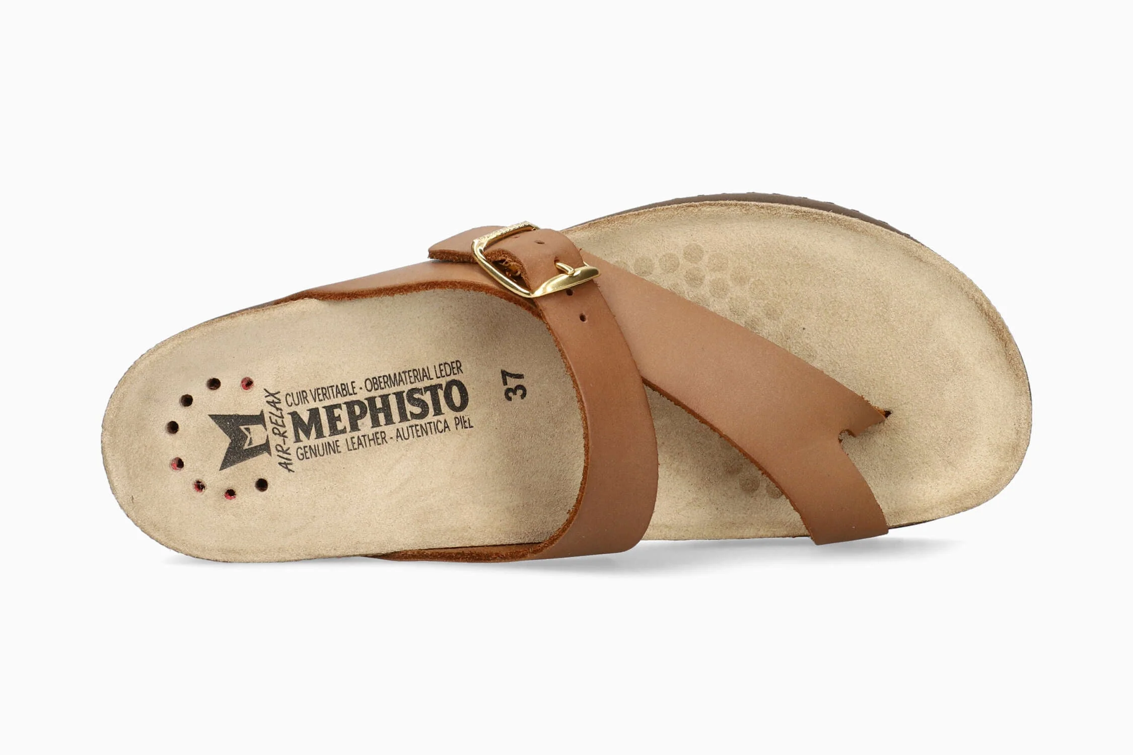 Helen - Camel | MLR6 - Image 3