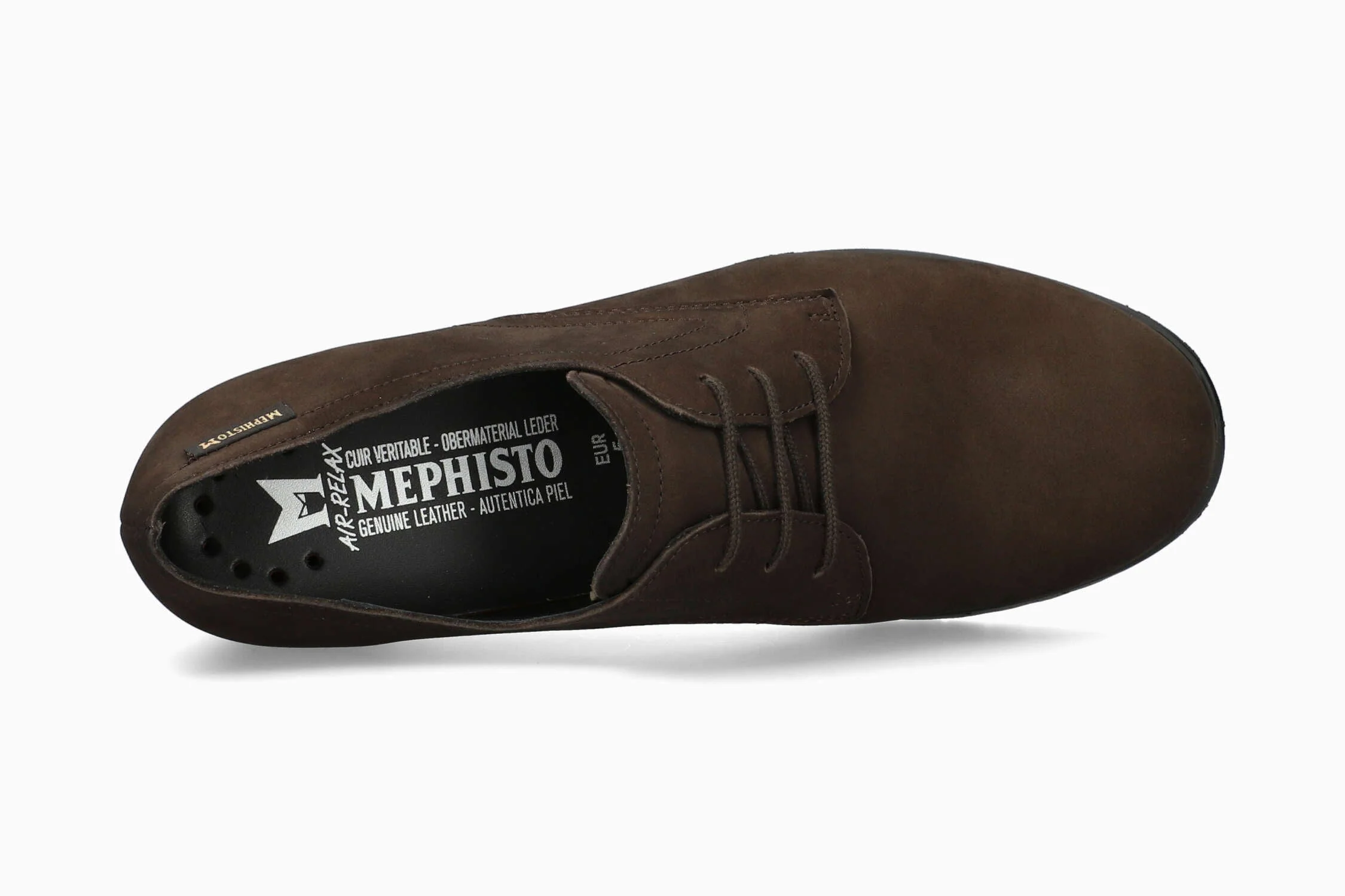 Iacina - Dark Oak | M7ML - Image 3