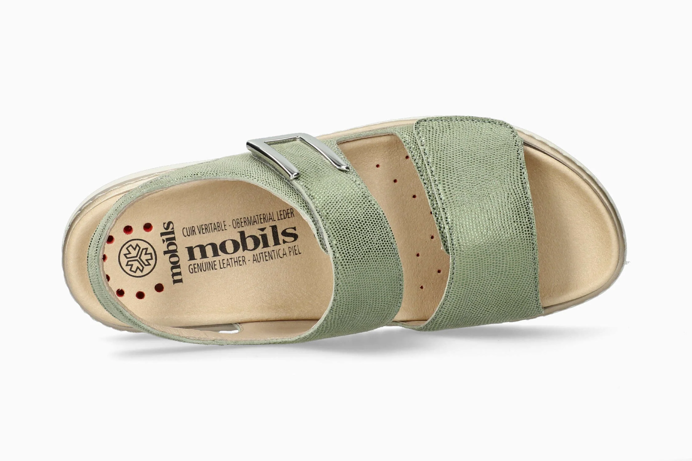 Lalia - Green Almond | M7BL - Image 3