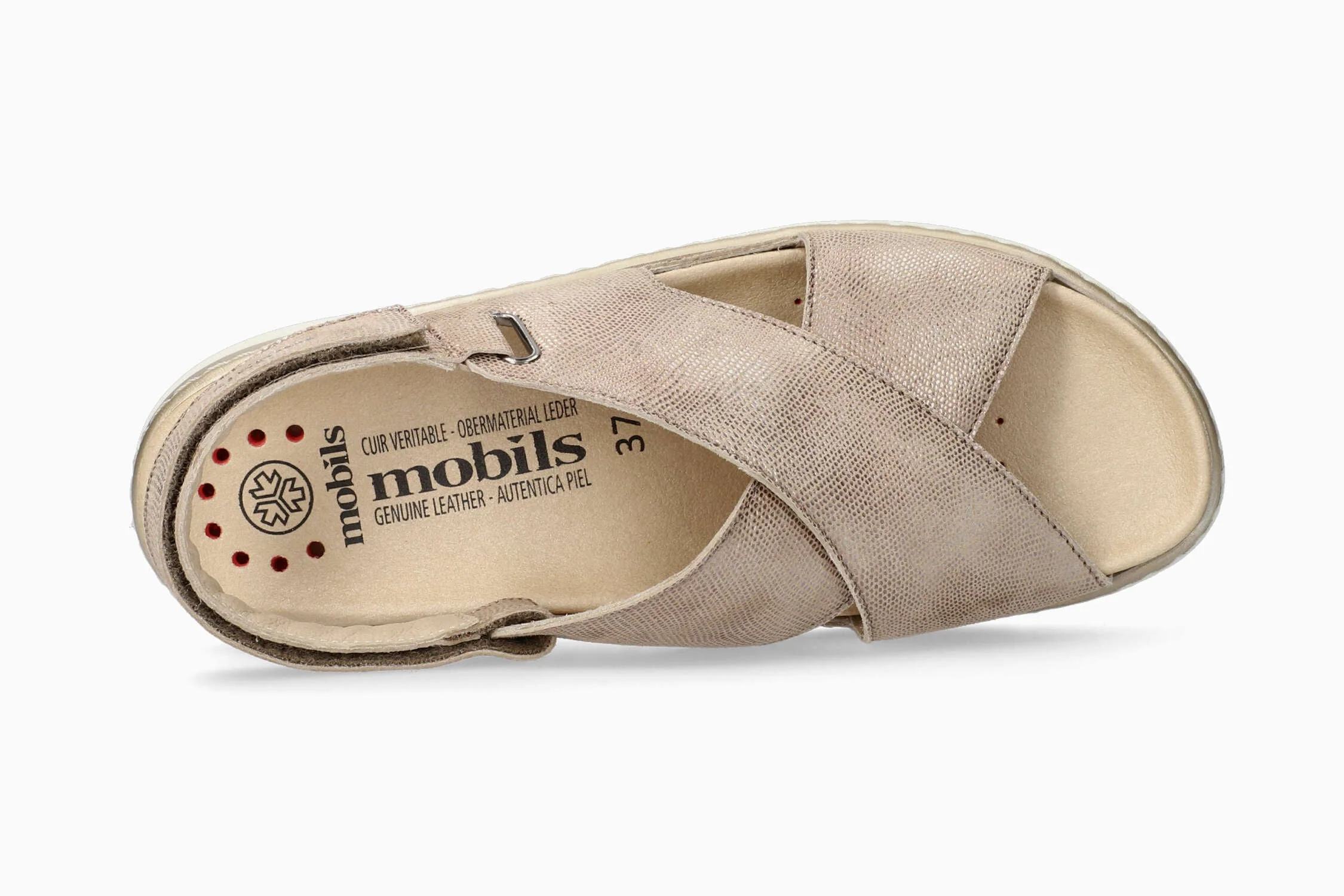Lyv - Light Taupe | M7BK - Image 3