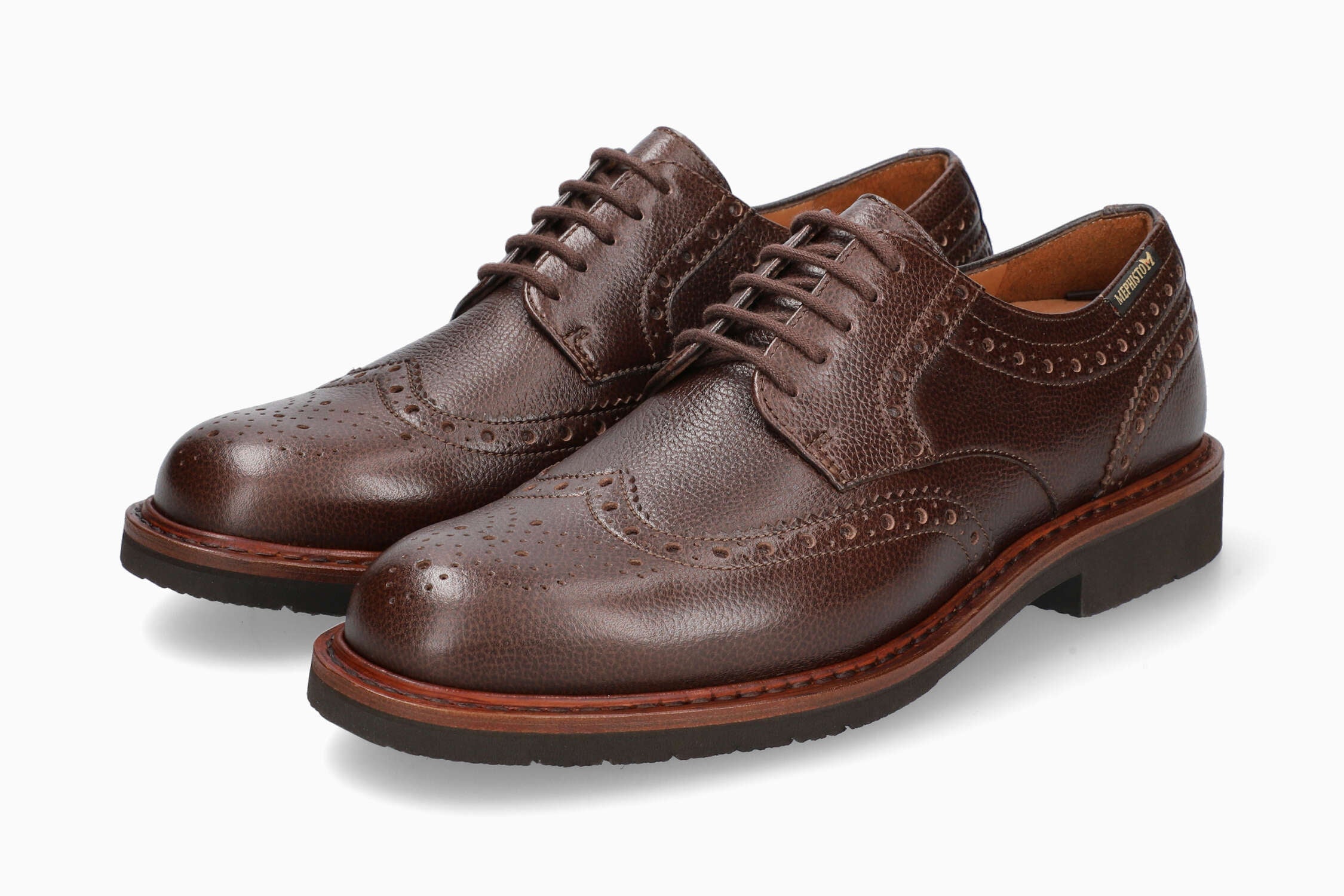 Max - Chestnut | MC13 - Image 2