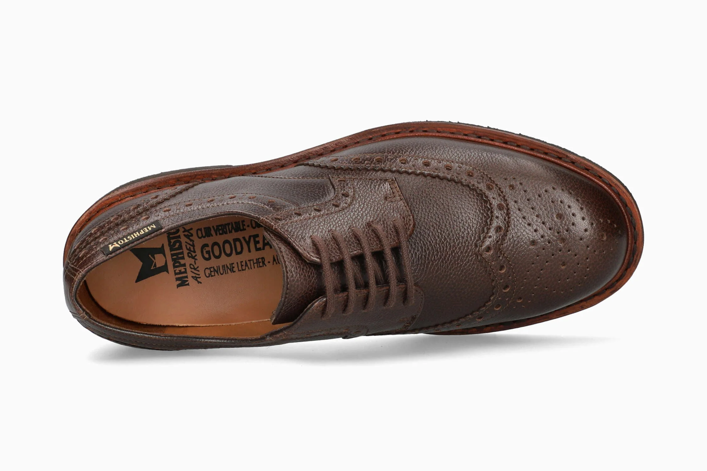 Max - Chestnut | MC13 - Image 3