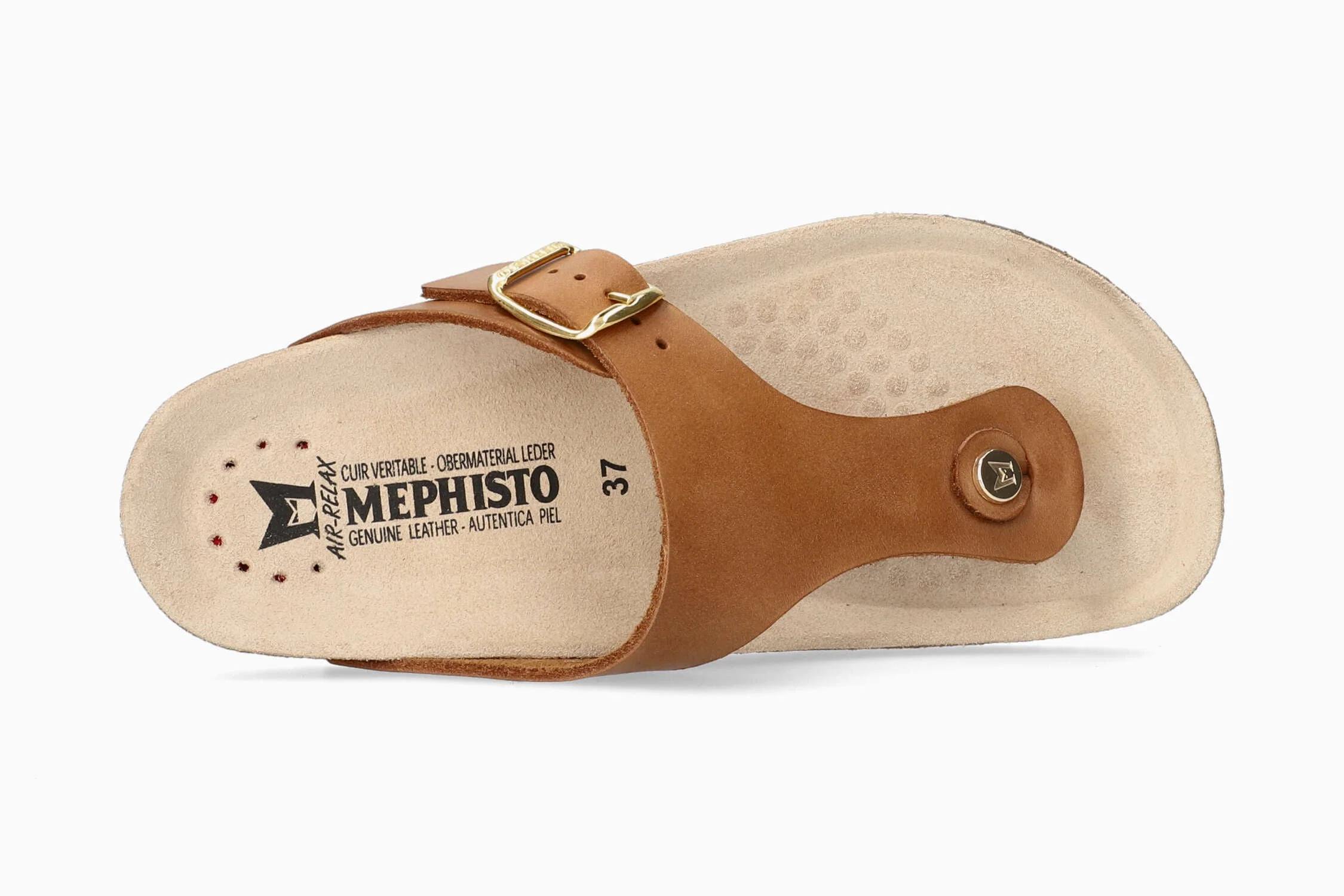 Melinda - Camel | MLR6 - Image 3