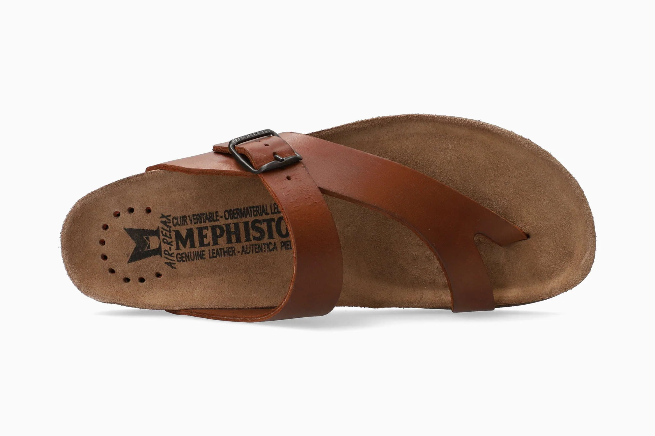 Niels - Chestnut | MBG4 - Image 3