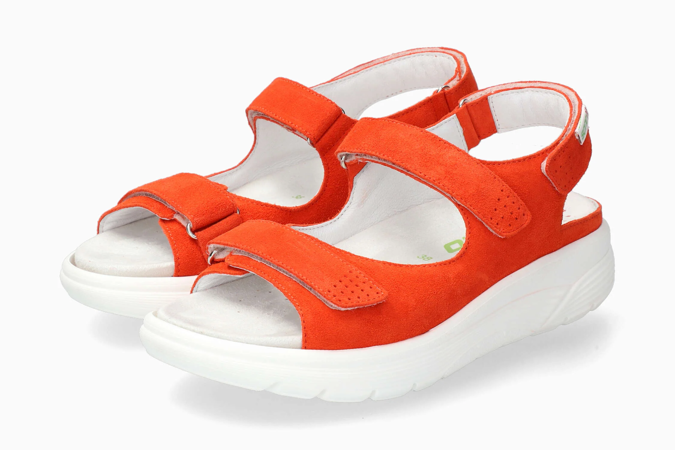 Norine - Tangerine | M8QQ - Image 2