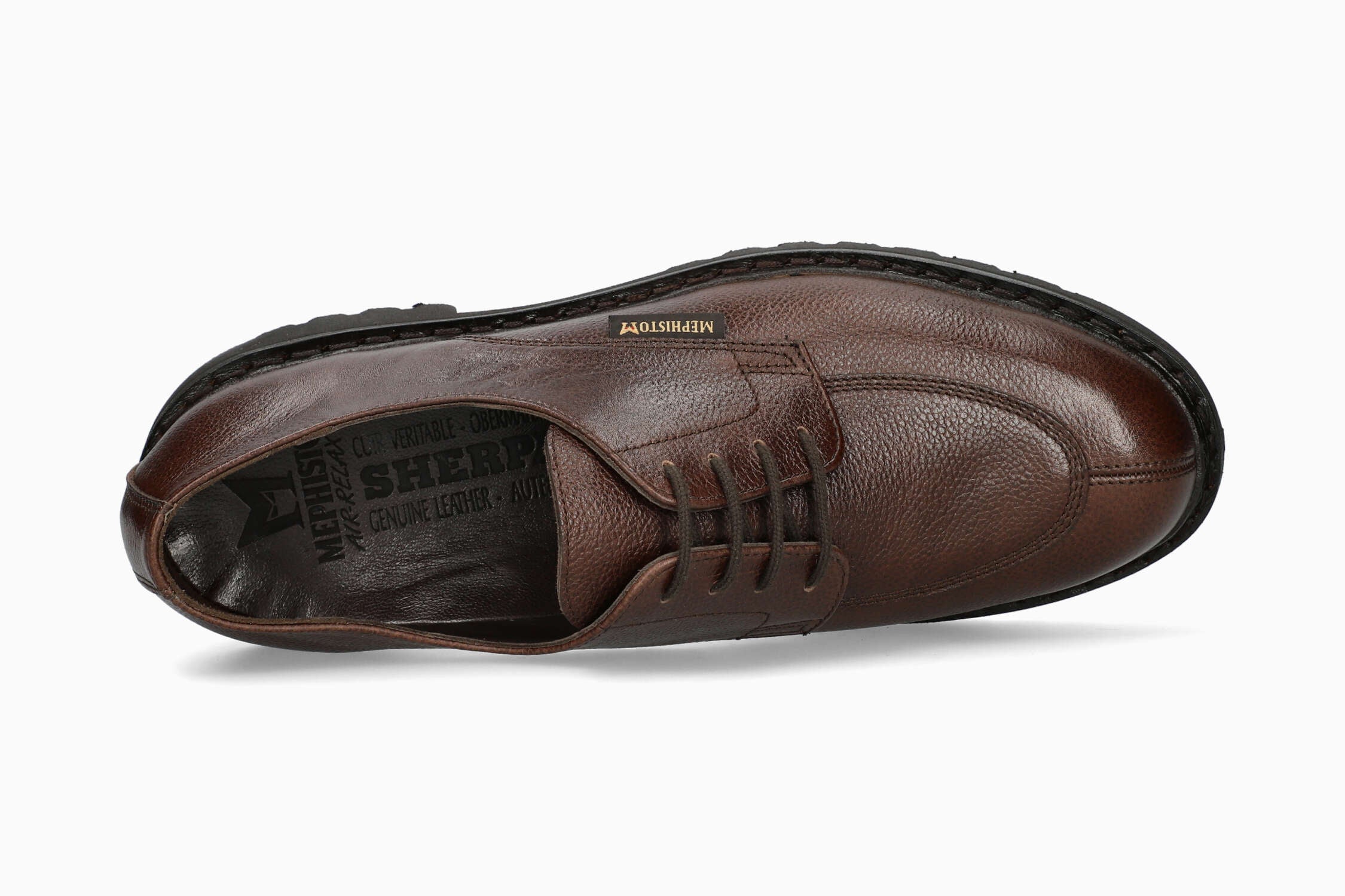 Pegasio - Chestnut | MC13 - Image 3