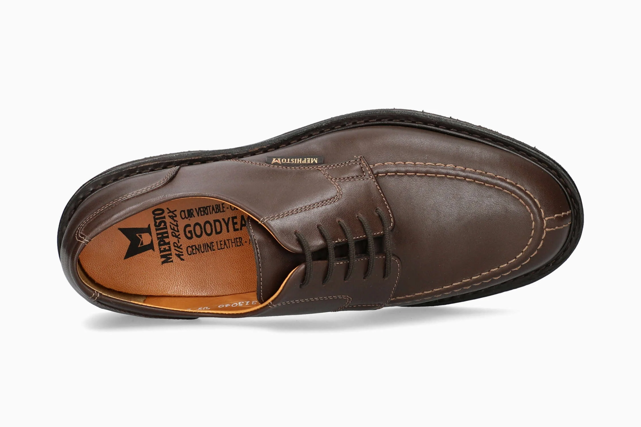Phoebus - Dark Brown | MV85 - Image 3