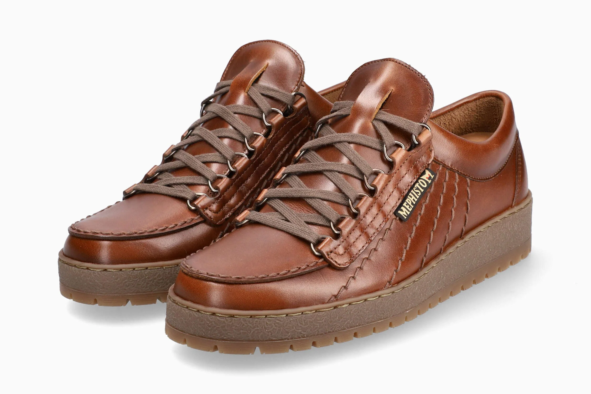 Rainbow - Chestnut | MRP5 - Image 2