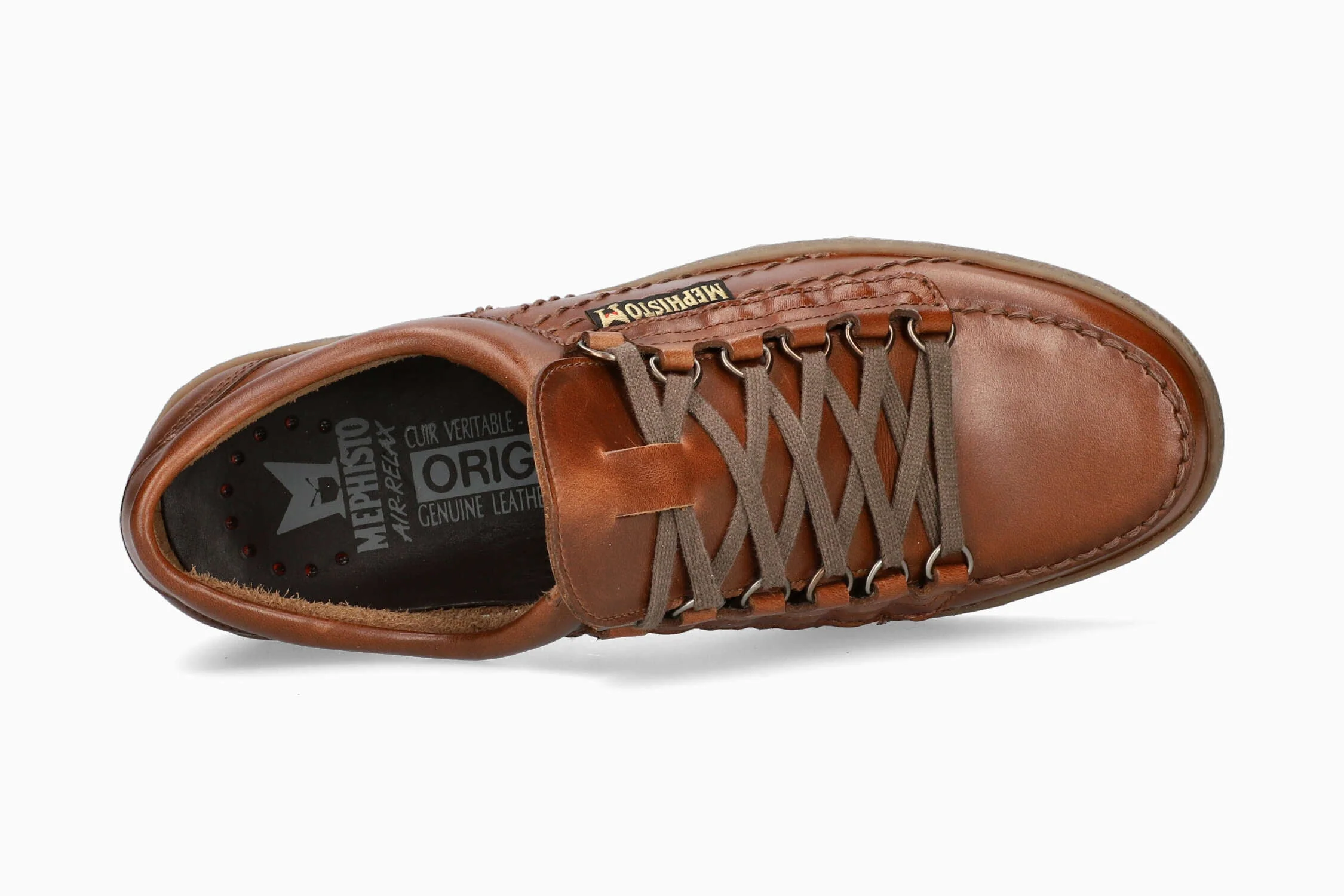 Rainbow - Chestnut | MRP5 - Image 3