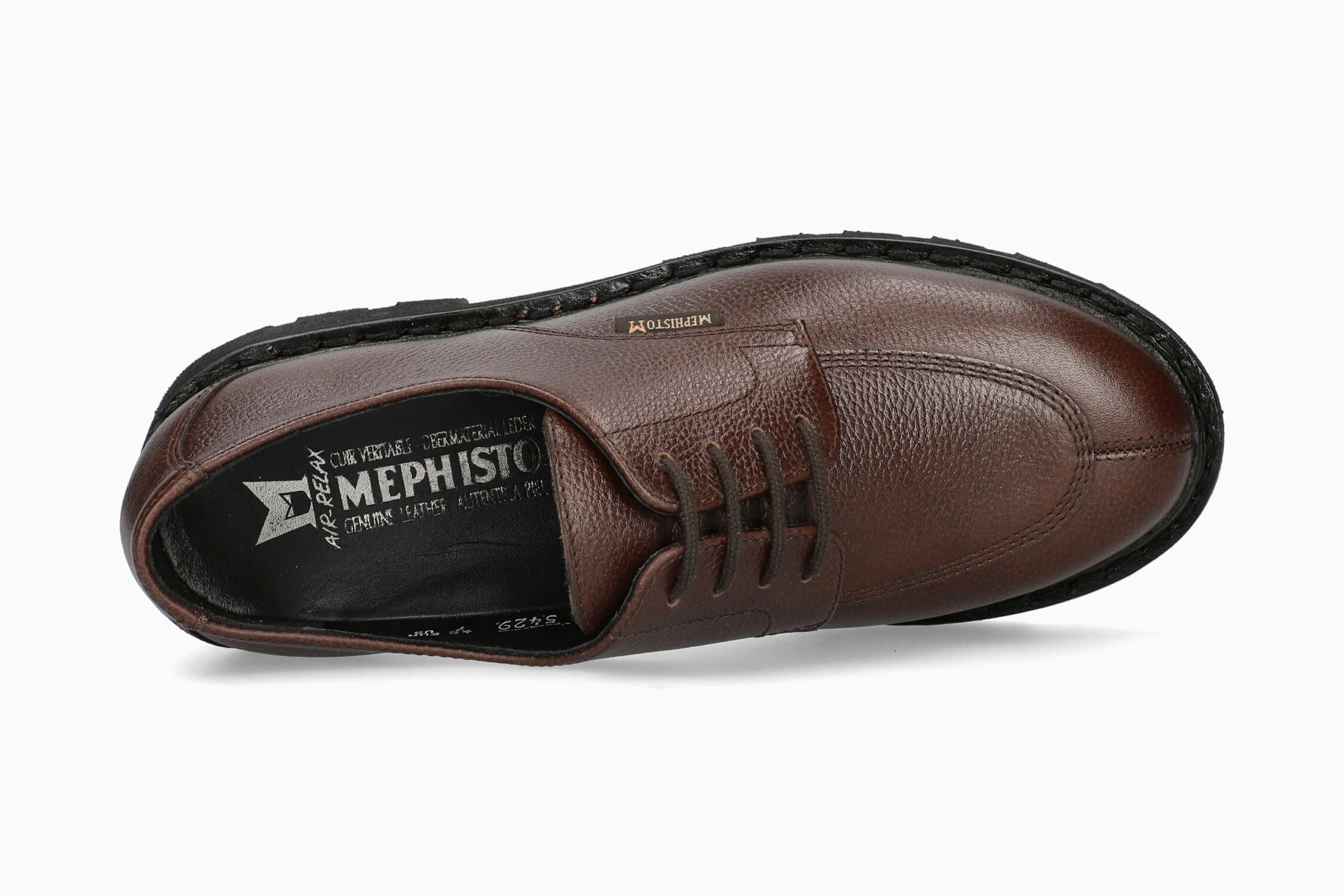 Soline - Chestnut | MC13 - Image 3