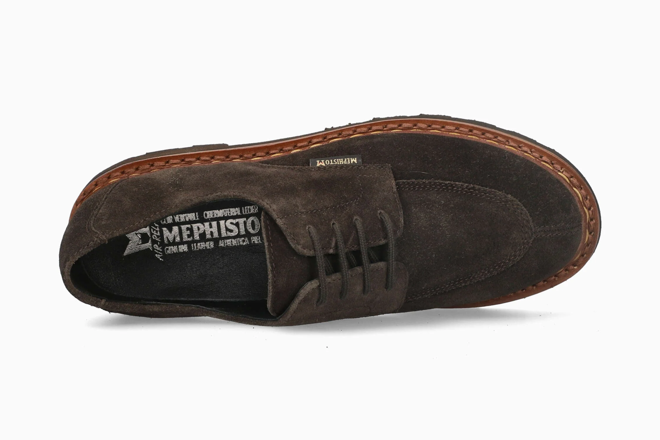 Soline - Dark Brown | MY11 - Image 3