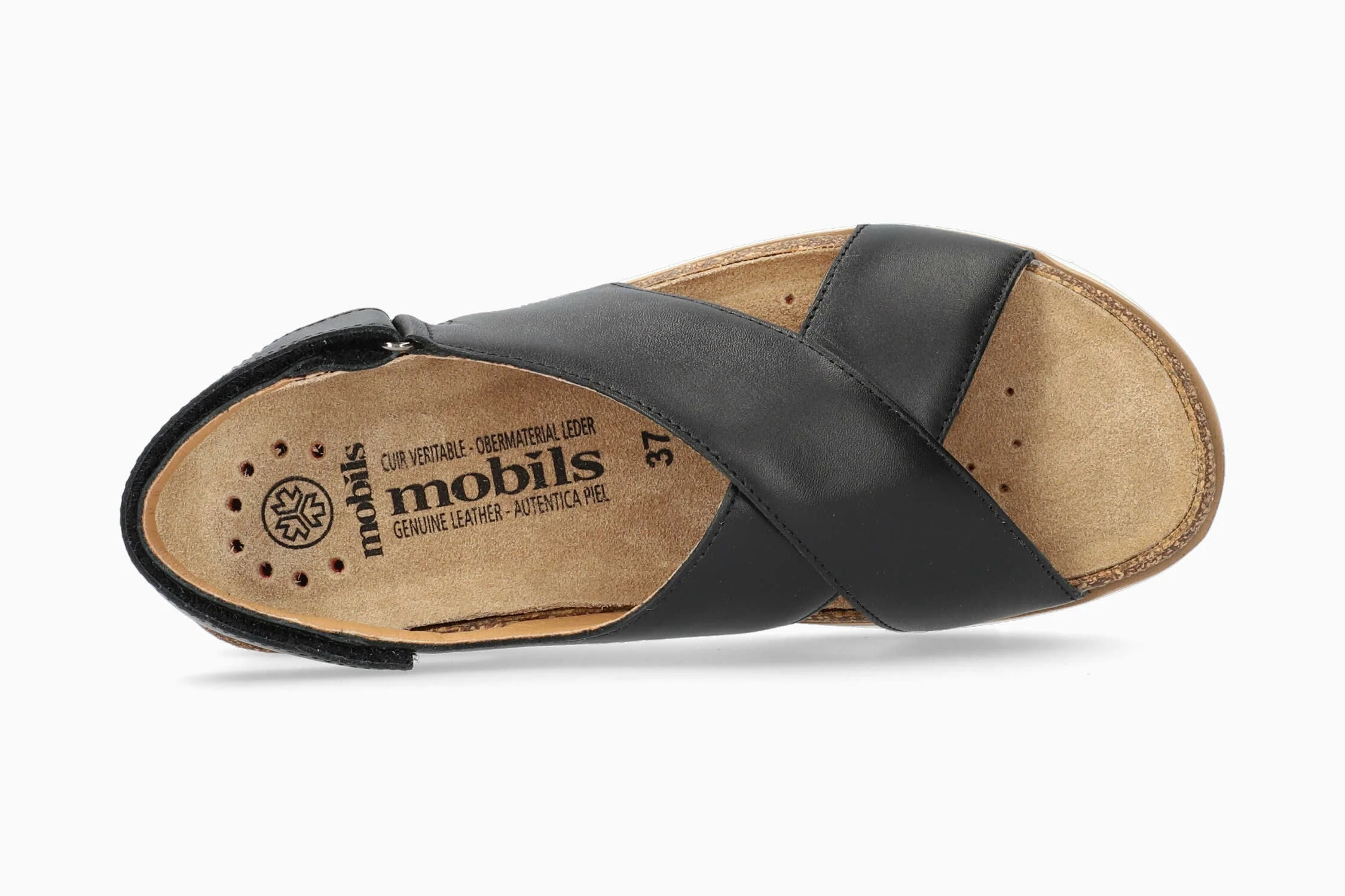 Tally - Black | MPQ6 - Image 3