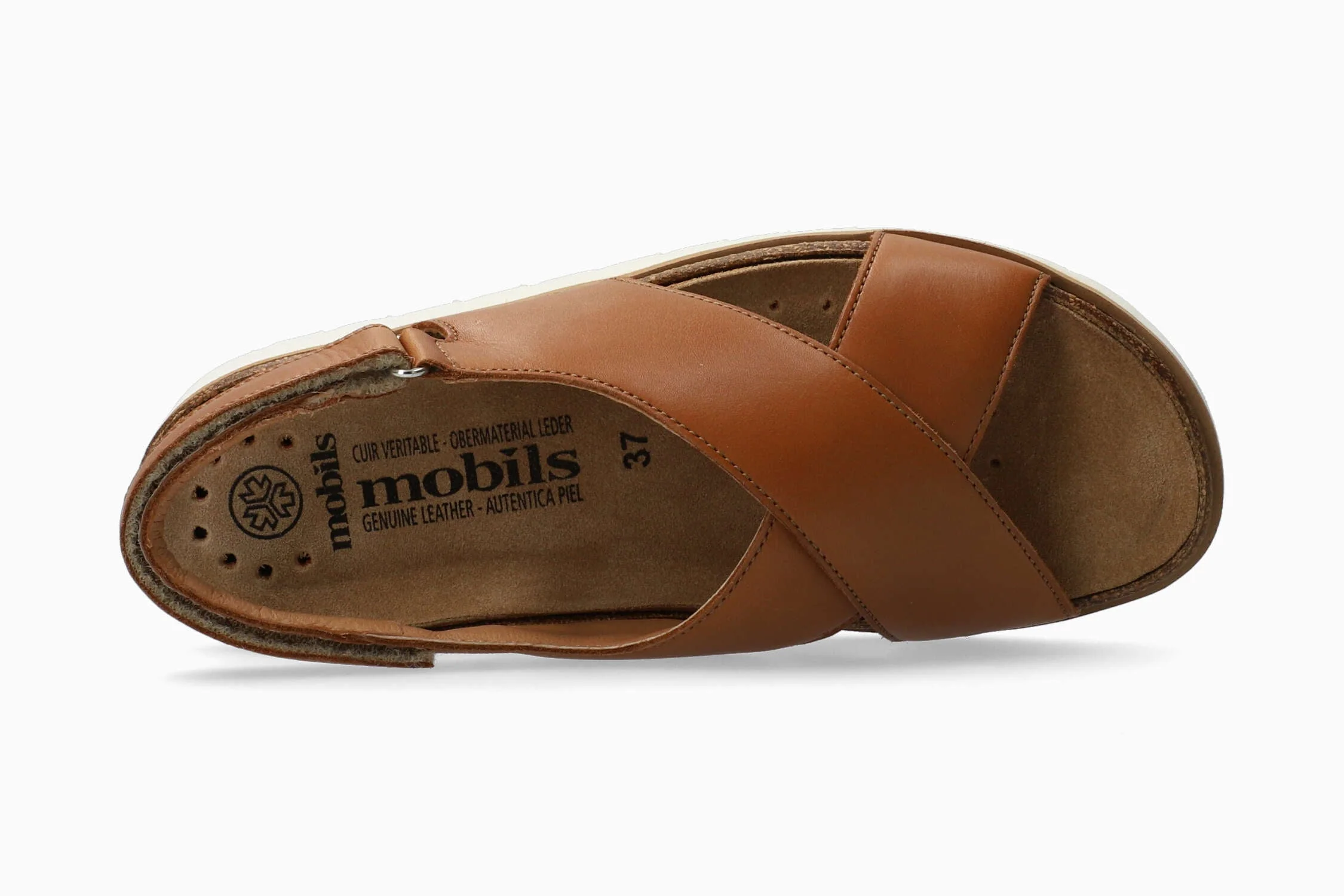 Tally - Brandy | M2PX - Image 4