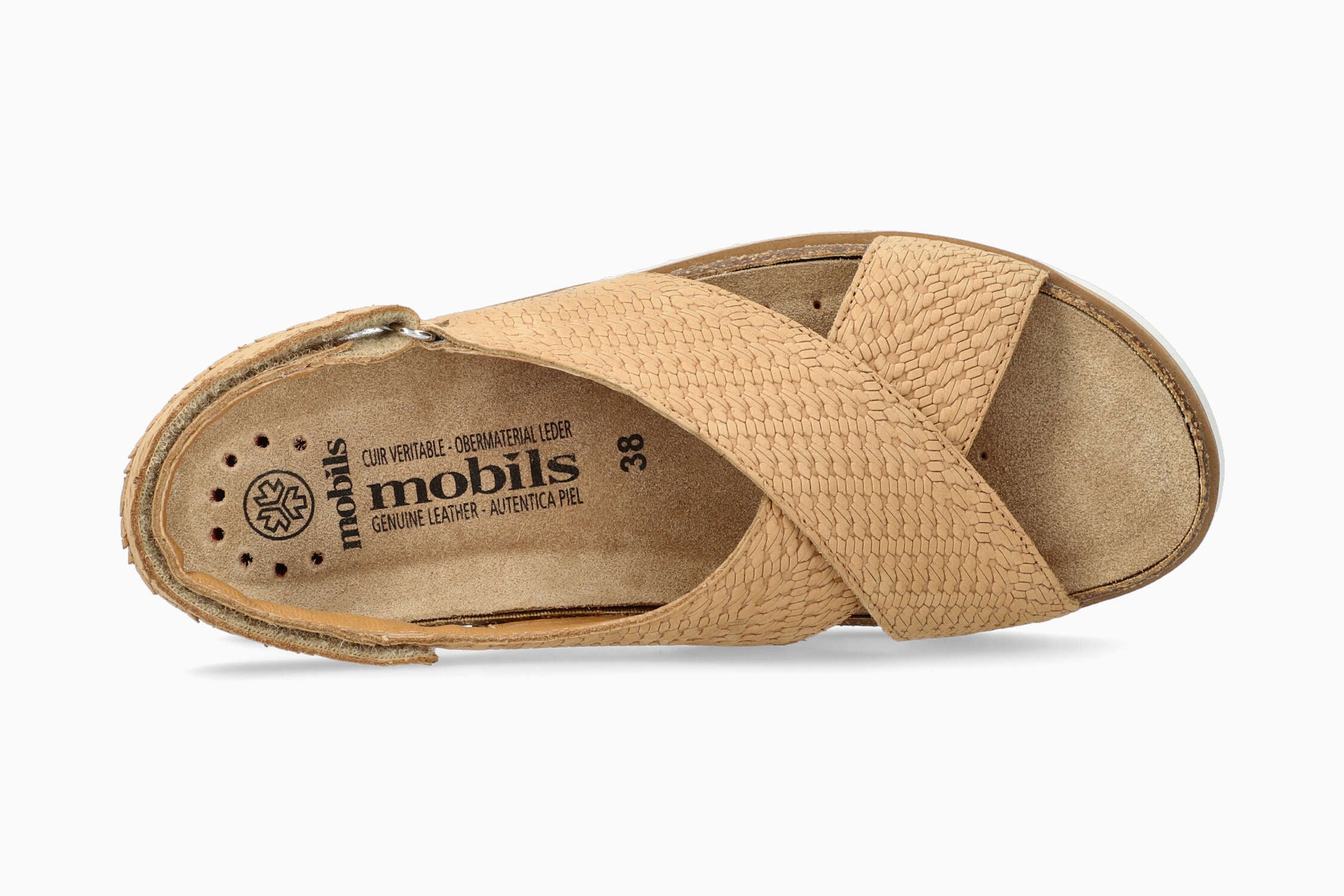 Tally - Brandy | M7VV - Image 3